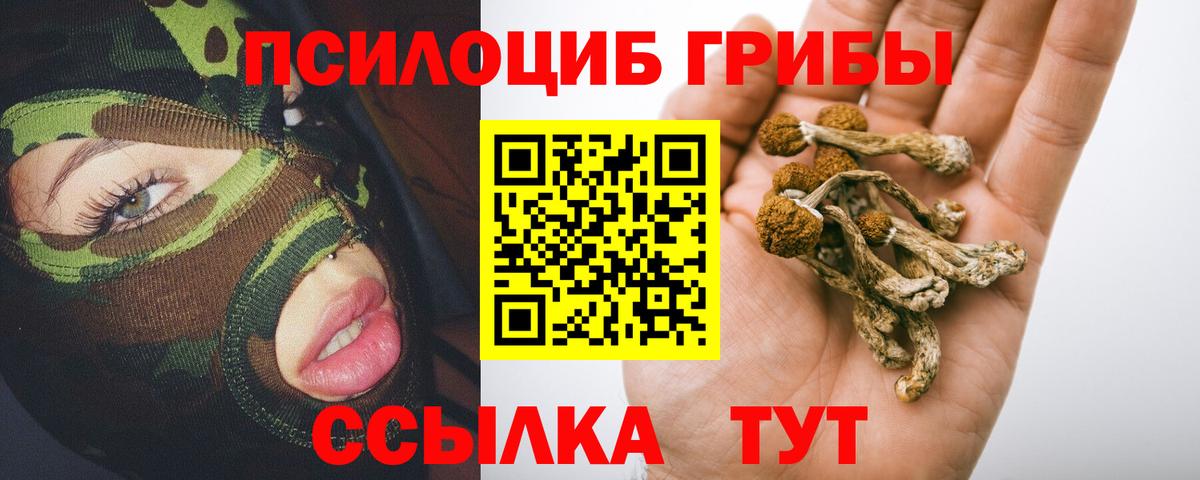 Псилоцибиновые грибы прущие грибы Нижневартовск